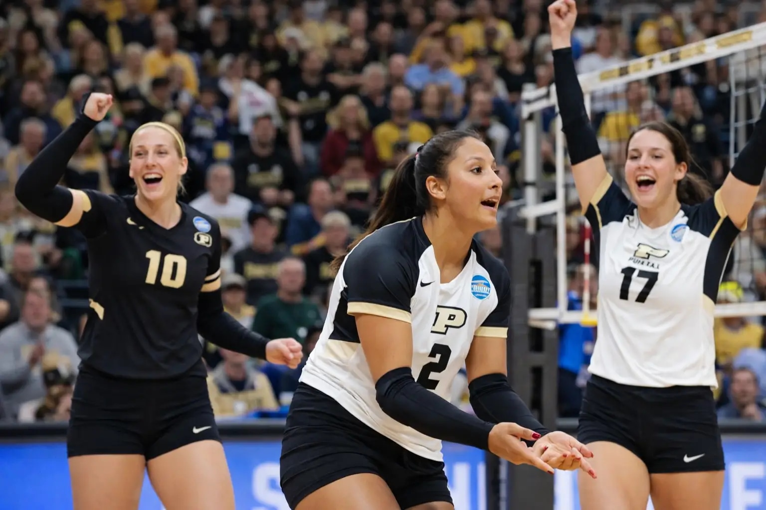 ncaa volleyball transfer portal